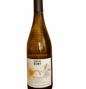 Bourgogne blanc ‘clos de la chapelle’ dom. romy